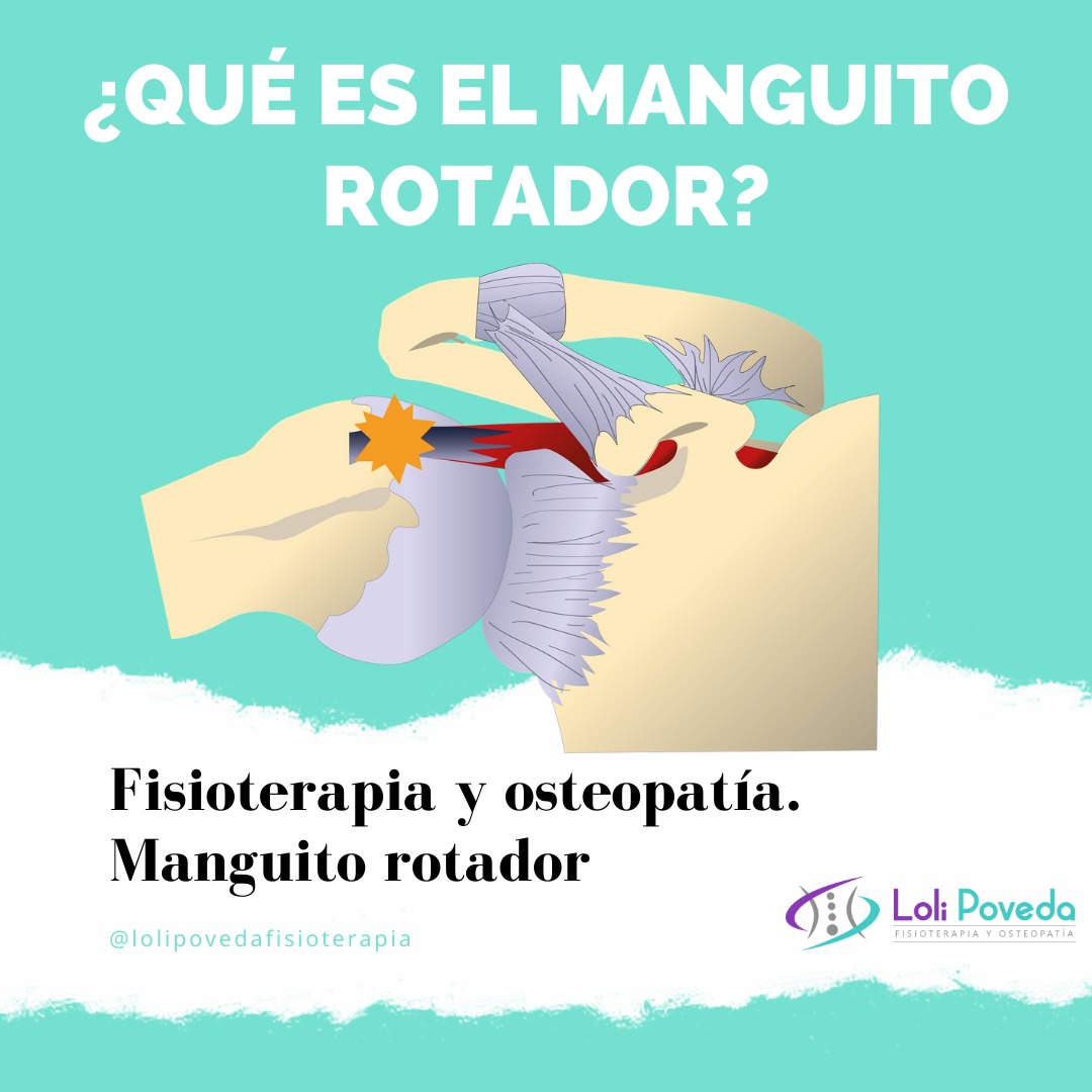 Manguito Rotador